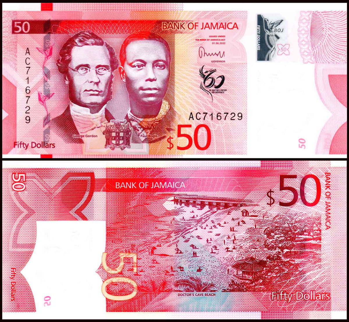 50 Feuilles Prophila Pour Billets De Banque - Pages Transparentes Pour Collection De Monnaies