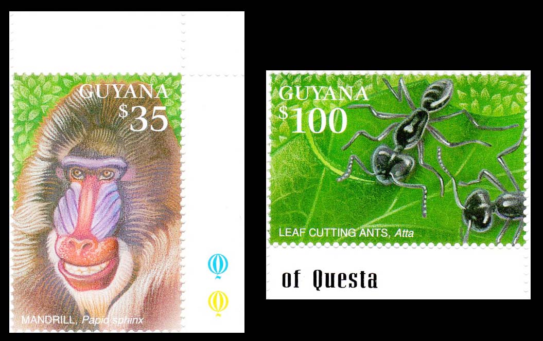 Guyana Variety Of 2 Postage Stamps – Banknotecoinstamp