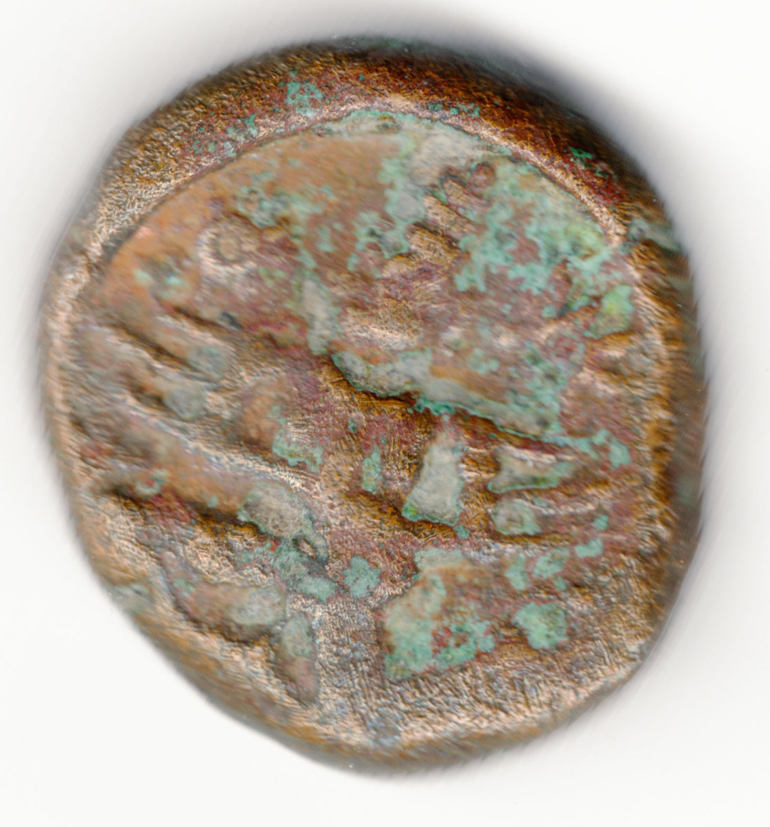 Vijayanagara coin, Garuda folding hands conch and disc 3.48gm COINVIJ1 ...