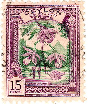 Ceylon Vesak Orchid Used Postage Stamp – Banknotecoinstamp