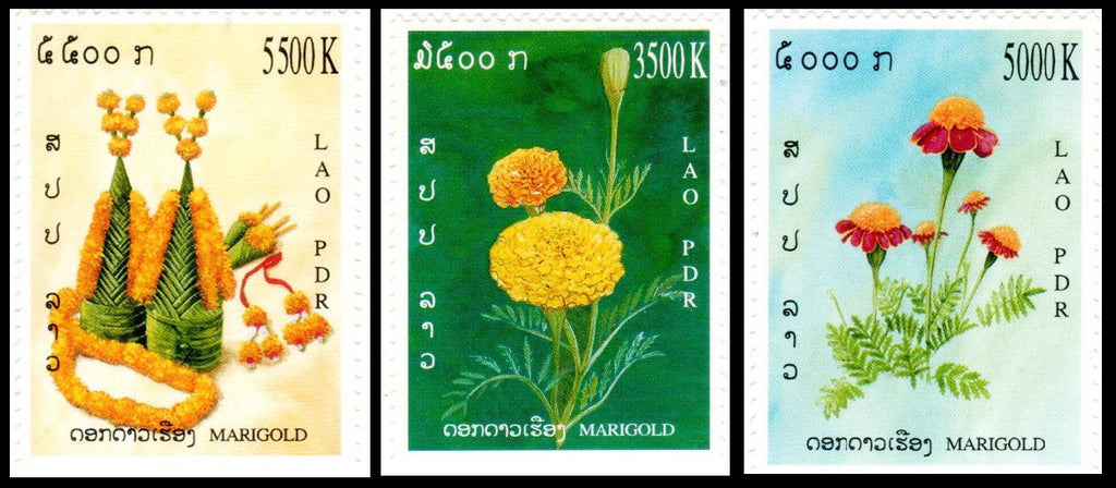 Marigold Flower Stamp Set | Technique Tuesday