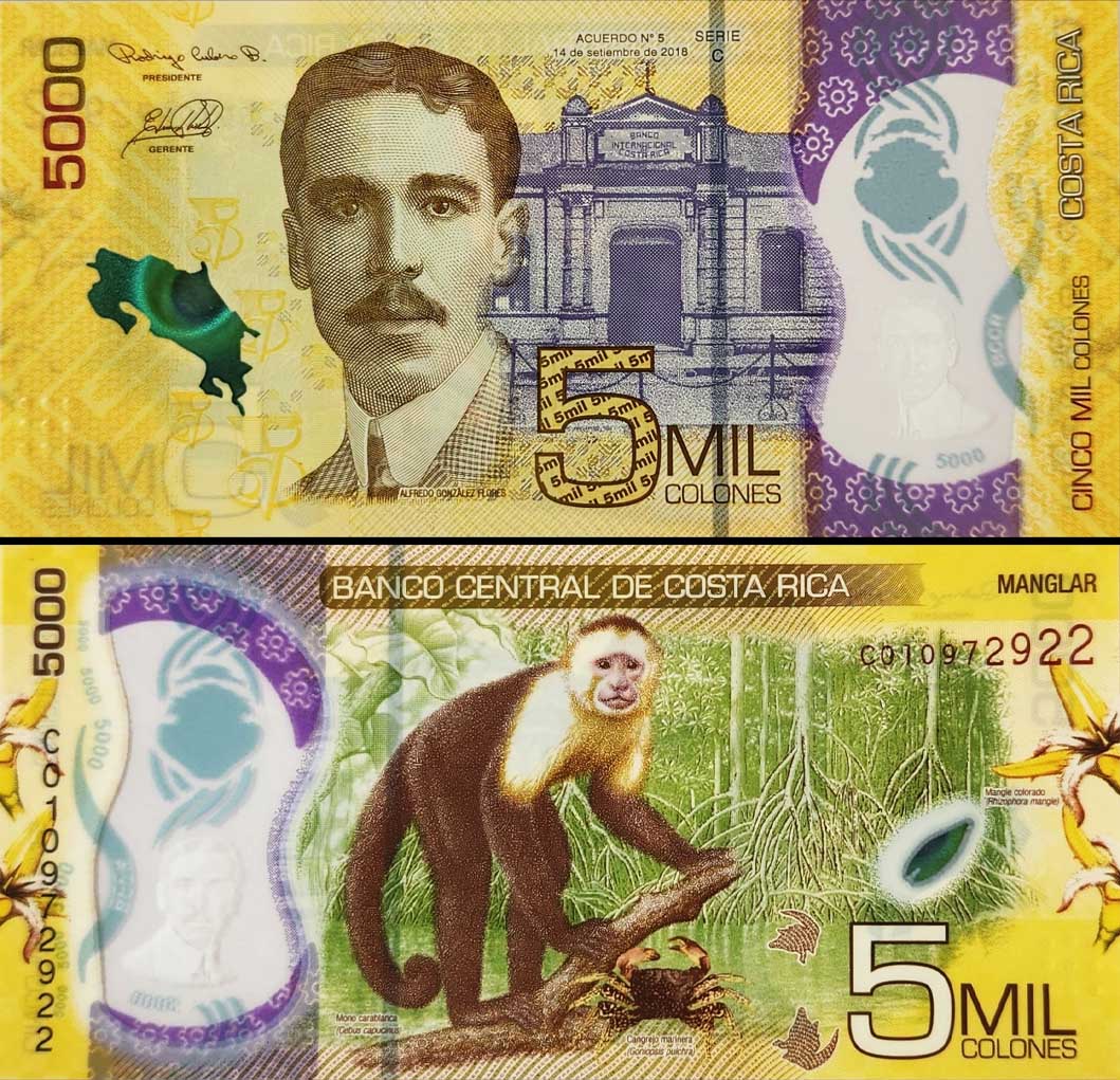 Costa Rica's 5,000 Colones Used Polymer Banknote – Banknotecoinstamp