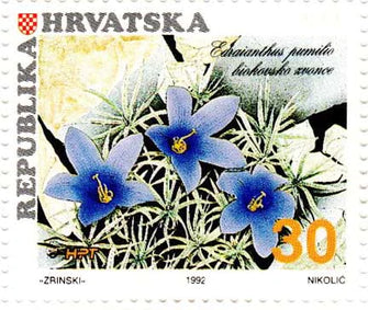 Croatia Bellflower Of The Biokovo Postage Stamp