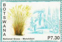 Botswana Motshikiri National Grass Postage Stamp