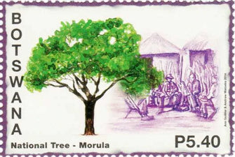 Botswana Morula Postage Stamp