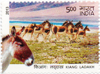 India kiang Ladakh Postage Stamp