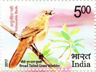 India Broad Tailed Grass Warbler  ( Vulnerable Birds ) Postage Stamp