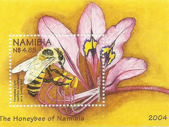 Honeybee of Namibia MS