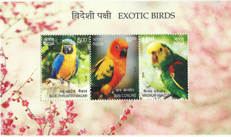 Exotic birds Miniature sheet