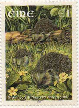 Western European Hedgehog Postage Stamp