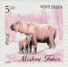 India Mishmi Takin Postage Stamp