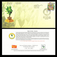 Spice of India - Turmeric Special Cover