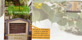 The Gandhi Tree Special Cover