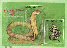Species of Snakes In Malaysia Miniature Stamp