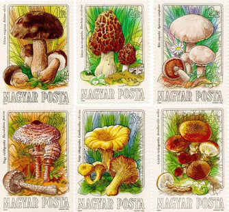 Hungary Mushrooms Variety of 6 Stamps