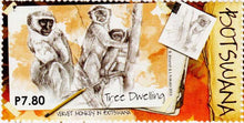 Botswana Monkeys Postage Stamp