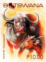 Botswana Cow & Calf Postage Stamp