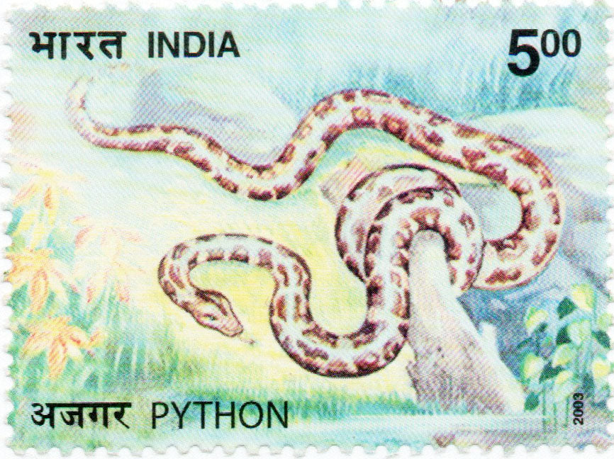 India Python Postage Stamp – Banknotecoinstamp